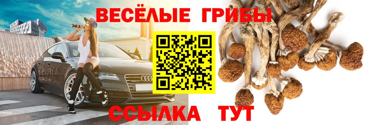 Галлюциногенные грибы мицелий  Галлюциногенные грибы мицелий  Вход с VPN  Алексин 